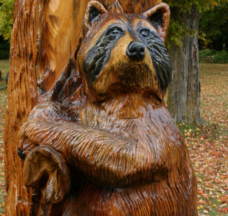 Tree sculpture of racoon